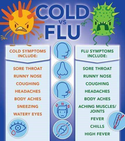 Flu Symptoms or A Cold?