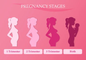 First Trimester Pregnancy Health Tips